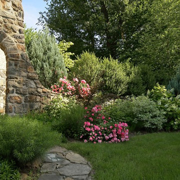 Native Plants for New Construction