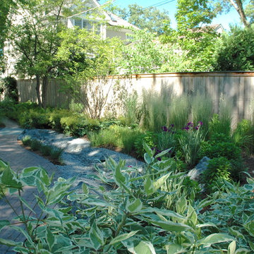 Wilmette Naturalistic with Dry Creek