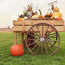 cart