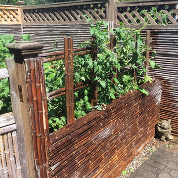 Japanese-style backyard garden - (Newark)