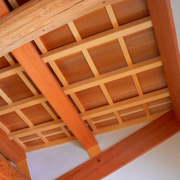 Ceiling (detail)
