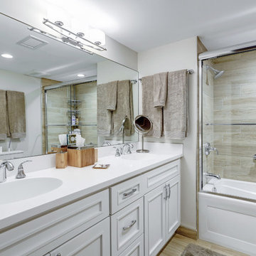 Arlington Whole Apartment Remodel