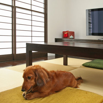 Small House with Dog / Hachioji, Tokyo