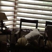 My Window Treatment