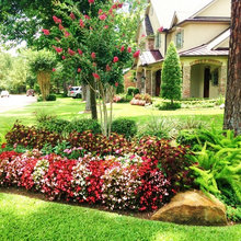 front yard