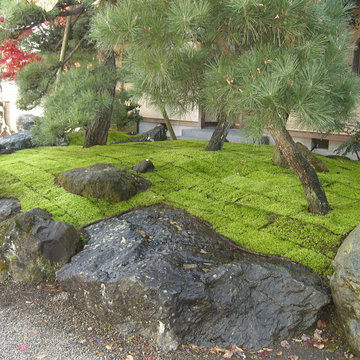 栃木県　Ｒ寺　苔張り作業