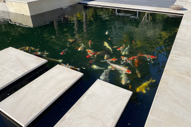 Large Koi Pond & Water Feature in Handcross, West Sussex