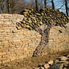 Landscape Ideas