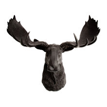 Decor - MT