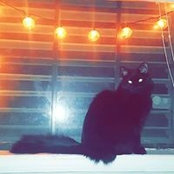 Photo de Catarina Murphy