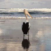 Foto von Fiona Mackley