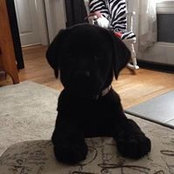 Lynn Underhill's photo