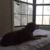 Joanie Cooksey's photo