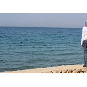 Marwa Mansour's photo