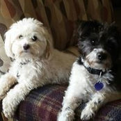 Christine Cappell McEachern's photo