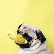 Anne Amina's photo