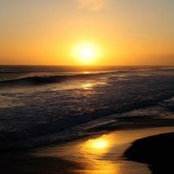 Kerry Fox's photo