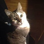 Lucia Guccione's photo