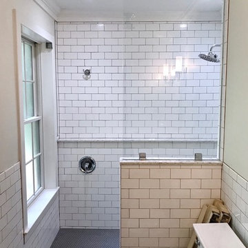 Frameless shower glass - Fixed Panels