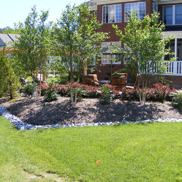 New Home, Backyard from scratch