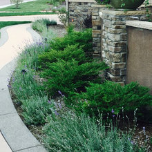 Front yard