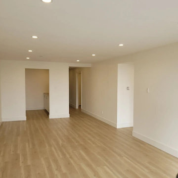 Condo Renovation