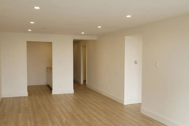 Condo Renovation