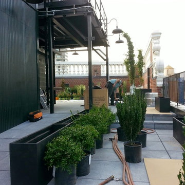 Roof Top Garden in NY completed by New York Plantings