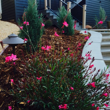 Post Renovation - Twin Oaks Road
