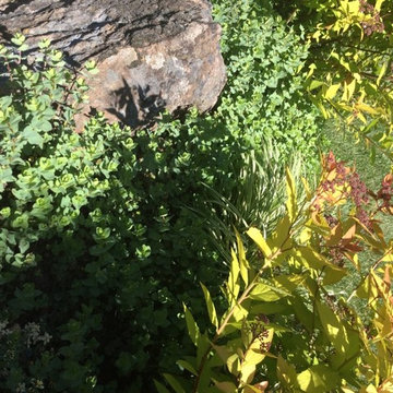 Vacation At Home In Orinda