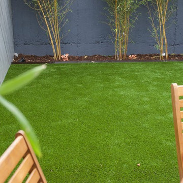 Rathmines Urban Garden