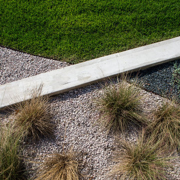 Barton Hills Modern Xeriscape