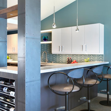 Modern Condo Remodel