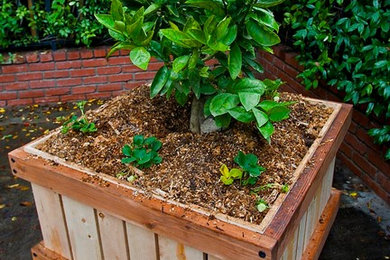 Rolling "Yards" 3 x 3' x 28" Tree Planters