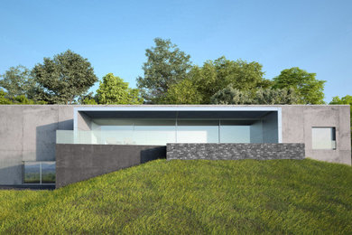 Cette image montre une façade de maison design.