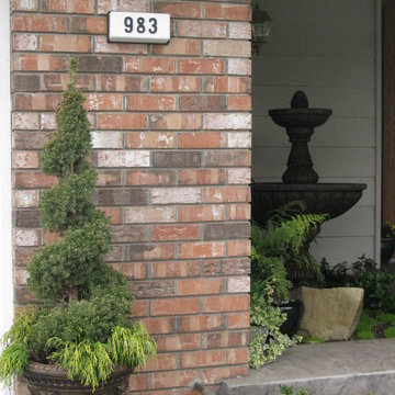 Stamp Concrete Design