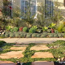 yard ideas