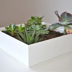 Gift Ideas - Indoor Pots And Planters