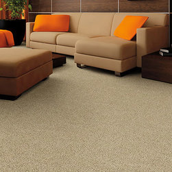 Masland Carpets - Flooring