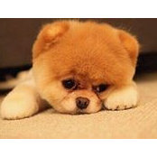 Ee S Ng's photo