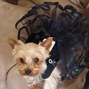 Cheryl Rizzo's photo