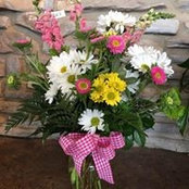 Krista Grethey's photo