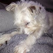 Linda Montieth's photo