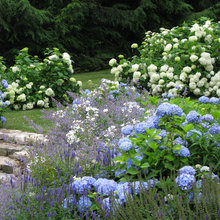 Lisa Landscaping