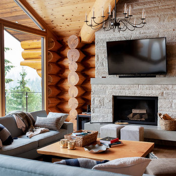 mountain log home