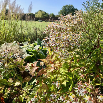 The MedicineGarden