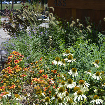 Plantings