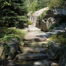 Landscape back yard