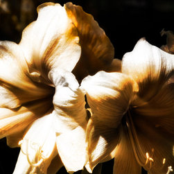 Fine Art Decor_Floral - Artwork