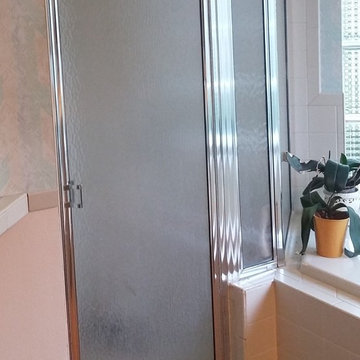 Lutz Master Bathroom